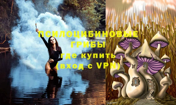 прущая мука Приозерск